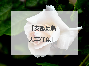 安徽最新人事任免