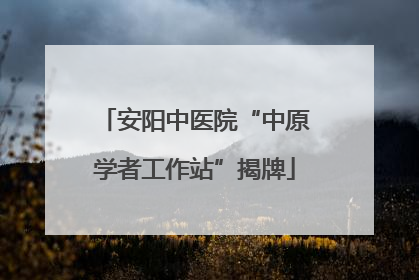 安阳中医院“中原学者工作站”揭牌