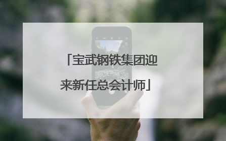 宝武钢铁集团迎来新任总会计师