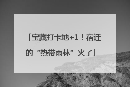宝藏打卡地+1！宿迁的“热带雨林”火了