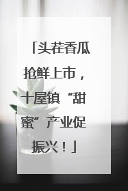 头茬香瓜抢鲜上市，十屋镇“甜蜜”产业促振兴！