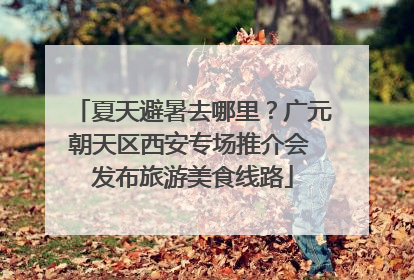 夏天避暑去哪里？广元朝天区西安专场推介会 发布旅游美食线路