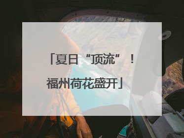 夏日“顶流”！福州荷花盛开