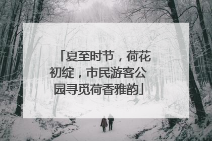夏至时节，荷花初绽，市民游客公园寻觅荷香雅韵