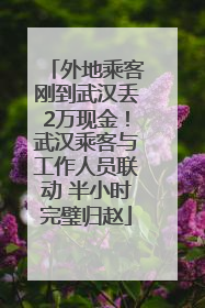 外地乘客刚到武汉丢2万现金！武汉乘客与工作人员联动 半小时完璧归赵