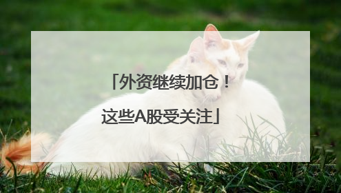 外资继续加仓！这些A股受关注
