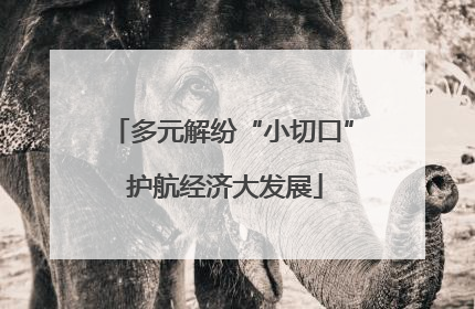 多元解纷“小切口” 护航经济大发展