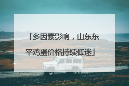 多因素影响，山东东平鸡蛋价格持续低迷
