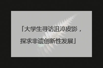 大学生寻访沮漳皮影，探求非遗创新性发展
