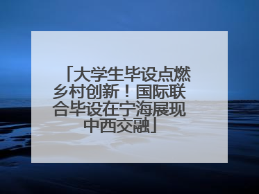 大学生毕设点燃乡村创新！国际联合毕设在宁海展现中西交融