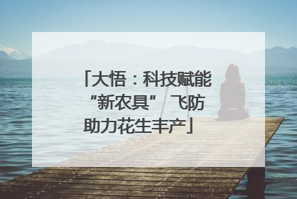 大悟:科技赋能“新农具” 飞防助力花生丰产
