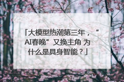 大模型热潮第三年，“AI春晚”又换主角 为什么是具身智能？