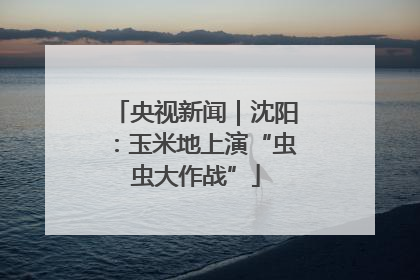 央视新闻｜沈阳：玉米地上演“虫虫大作战”