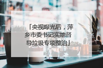 央视曝光后，萍乡市委书记实地督导垃圾专项整治