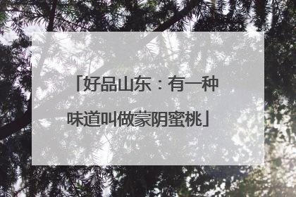 好品山东：有一种味道叫做蒙阴蜜桃