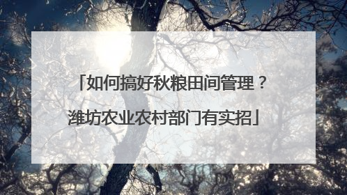如何搞好秋粮田间管理？潍坊农业农村部门有实招
