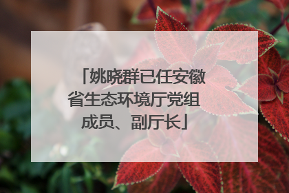 姚晓群已任安徽省生态环境厅党组成员、副厅长