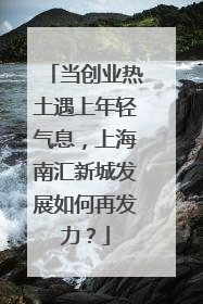 当创业热土遇上年轻气息，上海南汇新城发展如何再发力？