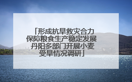 形成抗旱救灾合力 保障粮食生产稳定发展 丹阳多部门开展小麦受旱情况调研