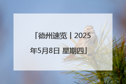 德州速览丨2025年5月8日 星期四