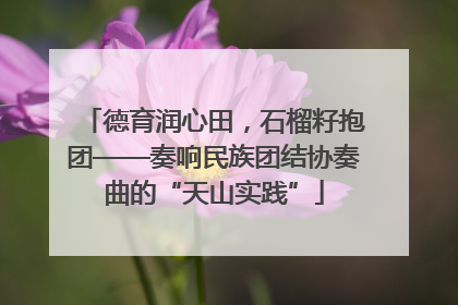 德育润心田，石榴籽抱团——奏响民族团结协奏曲的“天山实践”