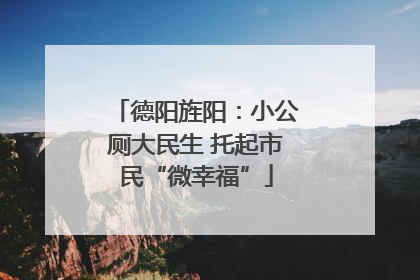 德阳旌阳：小公厕大民生 托起市民“微幸福”
