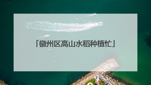 徽州区高山水稻种植忙