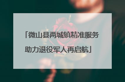 微山县两城镇精准服务助力退役军人再启航