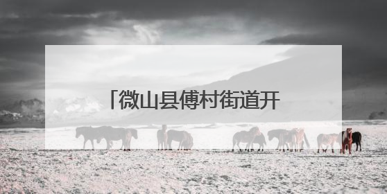 微山县傅村街道开展“粽情端午·古韵乡浓”主题活动
