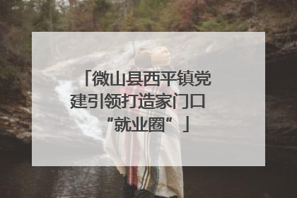 微山县西平镇党建引领打造家门口“就业圈”