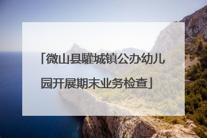 微山县驩城镇公办幼儿园开展期末业务检查