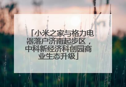 小米之家与格力电器落户济南起步区，中科新经济科创园商业生态升级
