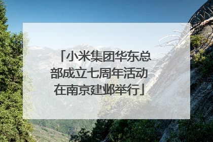 小米集团华东总部成立七周年活动在南京建邺举行