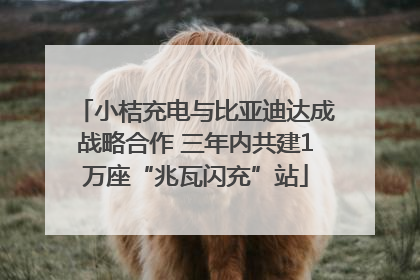 小桔充电与比亚迪达成战略合作 三年内共建1万座“兆瓦闪充”站
