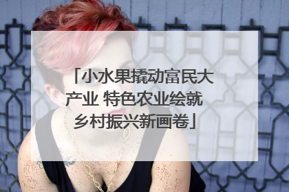 小水果撬动富民大产业 特色农业绘就乡村振兴新画卷
