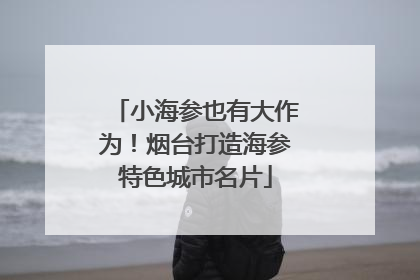 小海参也有大作为！烟台打造海参特色城市名片