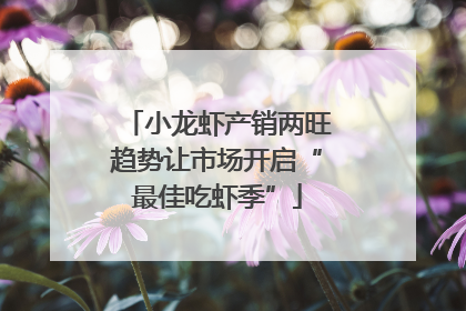 小龙虾产销两旺趋势让市场开启“最佳吃虾季”