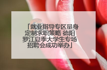 就业指导专区量身定制求职策略 德阳罗江夏季大学生专场招聘会成功举办