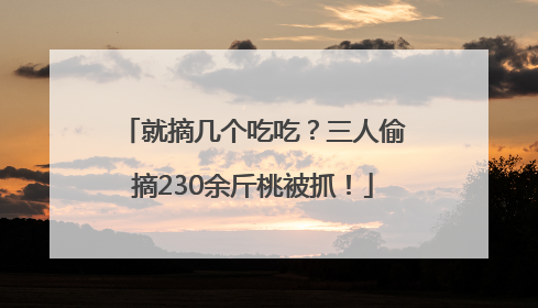 就摘几个吃吃？三人偷摘230余斤桃被抓！