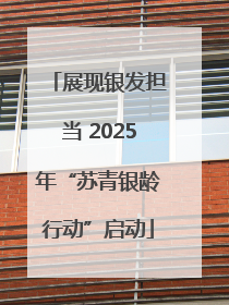 展现银发担当 2025年“苏青银龄行动”启动