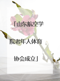 山东航空学院老年人体育协会成立