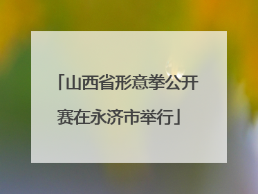 山西省形意拳公开赛在永济市举行
