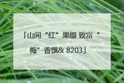 山间“红”果缀 致富“梅”香飘& 8203
