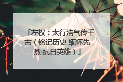 左权：太行浩气传千古（铭记历史 缅怀先烈·抗日英雄）