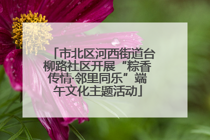 市北区河西街道台柳路社区开展“粽香传情·邻里同乐”端午文化主题活动