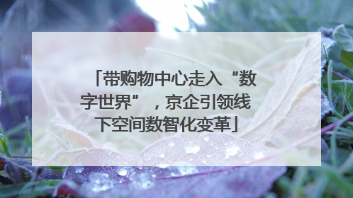 带购物中心走入“数字世界”，京企引领线下空间数智化变革