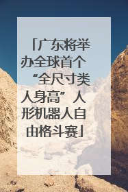 广东将举办全球首个“全尺寸类人身高”人形机器人自由格斗赛