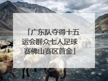 广东队夺得十五运会群众七人足球赛佛山赛区首金