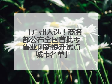 广州入选！商务部公布全国首批零售业创新提升试点城市名单