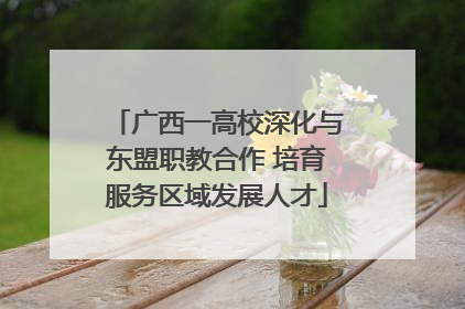 广西一高校深化与东盟职教合作 培育服务区域发展人才